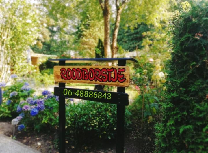 Roodborstje 4 Persoonschalet Putten Εξωτερικό φωτογραφία